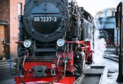 Steam locomotive 99 7237-3 at Wernigerode Railway Station, exuding vintage charm.